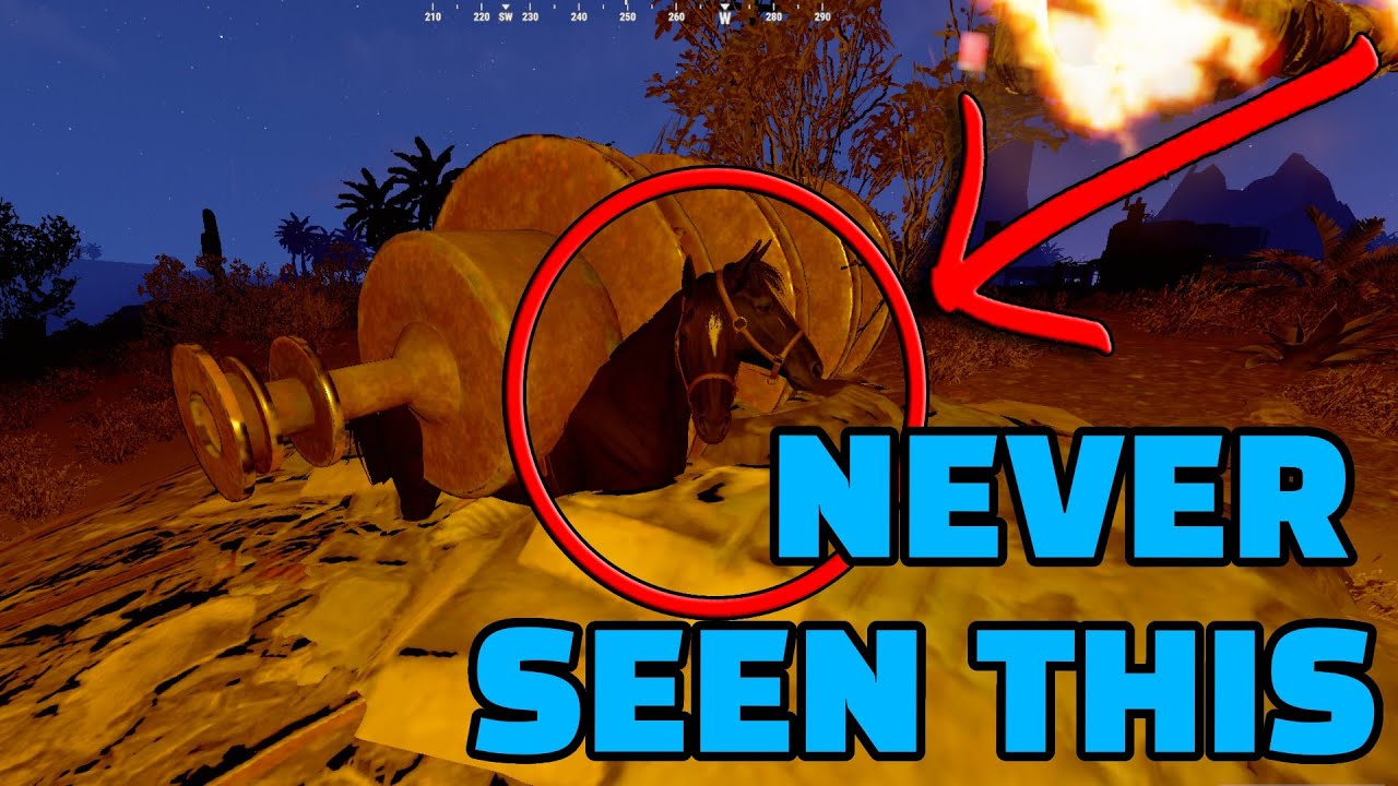 rust bug 2022 with horse #fixrust - YouTube