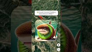 I Found Cocosini Tralalero Italian Brainrot Wiki Google Map And Google Earth google googleapps