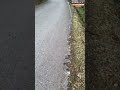 目の前に迫る波　石川・珠洲市 1月1日【能登半島地震　被害状況マップ】＊津波の映像が含まれています #shorts