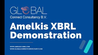 Amelkis XBRL Demonstration screenshot 4
