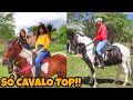 FEIRA DE CAVALO EM GRAVATÁ PE!! DOMINGO  (18/07/2921)