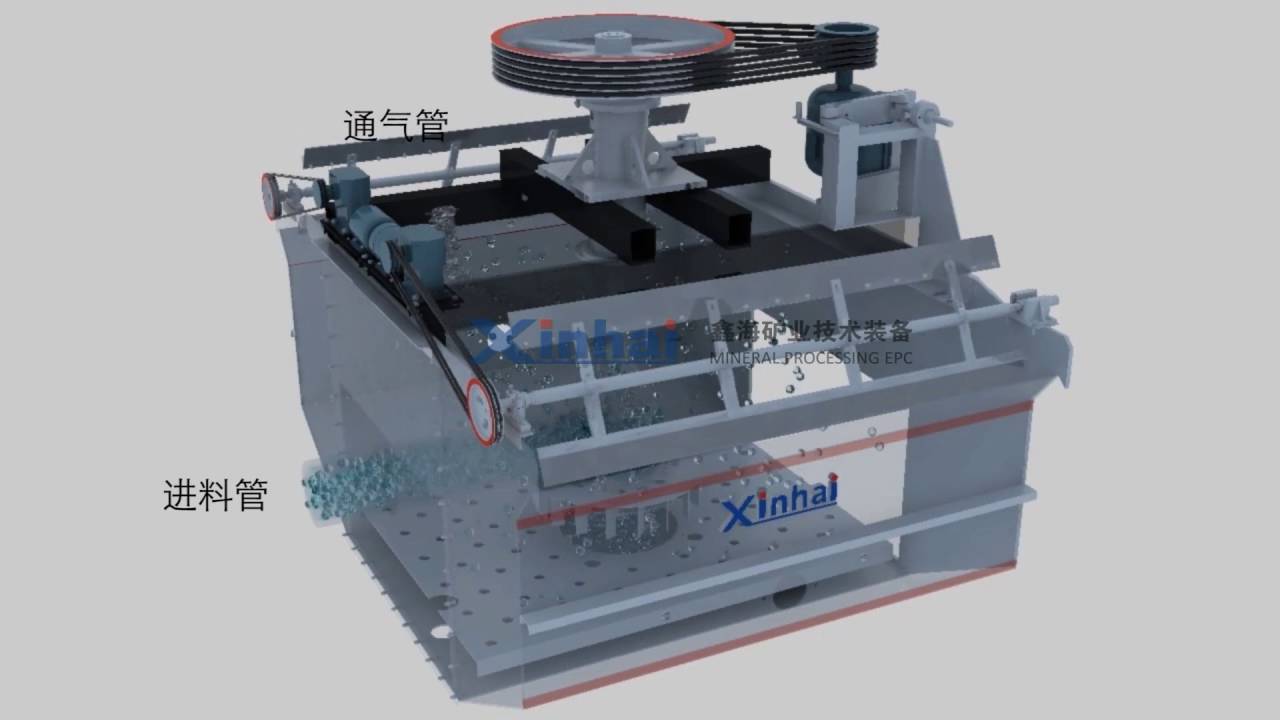 Flotation Segregation Flotation Separation for Mineral Flotating,Xinhai - YouTube