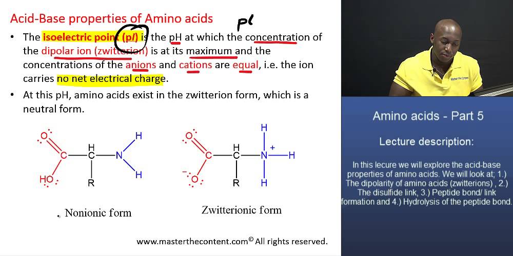 MCAT® Amino Acids Part 5 Isoelectric Point and Zwitterions YouTube