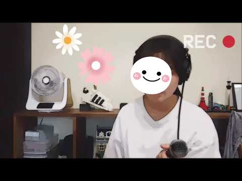 春一番 ／ キャンディーズ cover by てぃあら