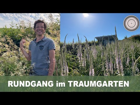 Video: Im Freien Kandelaber von Dunes und Duchess