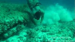 Spear Fishing: One Breath, One Fish