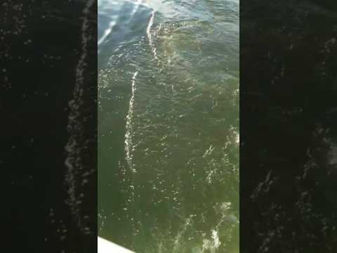 Underwater kite development