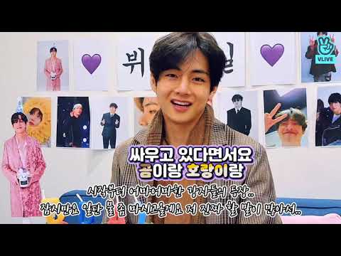 [BTS] 곰돌이냐 호랑이냐..🤔 그것이 문제일 필요 없는 뷔주얼✨ (V’s Balance Game) VLIVE 2021
