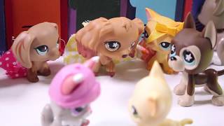 LPS: The Impersonator - For LPSsplashTv | Skit
This video is a fan video for LPSsplashTV, I used his characters in this video. This was inspired by this video https://www.youtube.com/watch?v=x62mOzX48go, I made it the same day it was posted. Also, Please go subscribe to him because his videos are really funny! And they deserve to have 1 million subscribers!
✡✡✡✡✡✡✡✡✡✡✡✡✡✡✡✡✡✡✡✡✡✡✡✡✡✡✡✡✡✡✡✡✡✡✡✡✡✡✡✡
~Social Media~
Instagram: https://www.instagram.com/cloverpawlps/
Twitter: https://twitter.com/LilyLPS0
LPS Amino: http://aminoapps.com/p/auar0
~Frequent Asked Questions~
Camera I used: Canon EOS 60D
Editor I use: Final Cut Pro
Face Reavel: No, I dont feel its necessary for an LPS Youtube Channel
Do you want to trade LPS: No sorry, I dont want to lose my LPS.
~Questions from last video~
Advice for buying LPS: Watch videos comparing real vs fake of that LPS to make sure it isn’t fake, Find LPS you want but make sure you can afford them.
No LPS or No LPSTube: I’d rather have no LPS because I’d want you guys to enjoy LPS Tube, than me having all my LPS.
Favourite LPS Tuber/s: LPSsplashTV, Snag, AzureLPS & LPShannah!
Favourite LPS: #909
Have you made a video with Video Star: Yes, When I first started making videos, but theyre now private.
Dream subscriber goal: 10k
favourite song: Dr Jean’s banana dance
https://www.youtube.com/watch?v=MFmr_TZLpS0&vl=en
Can you do an LPS collection + accessories: I might do a LPS collection and a how I organise my LPS.
Have any more questions? I will answer them all in the description in my next video if you want me to answer your question.
Bye everyone! LPS: The Impersonator - For LPSsplashTv | Skit