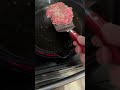 Who Doesn’t Love That Sizzle? 🔥🍔