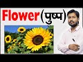 फूल के भाग | Parts of Flower | Structure of a Flower | Function  of Flower | Botany