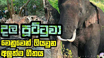 Athage Wilapaya - (ඇතාගේ විලාපය) Video - Manakkalpitha Ft. Sandeep Jayalath | MS Video Production