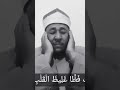 محمد عبدالعاطي محمد عبدالعاطي