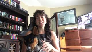 SNHU MFA 608 Introduction video 1