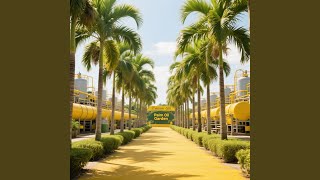 Cahaya Dan Magis Hari