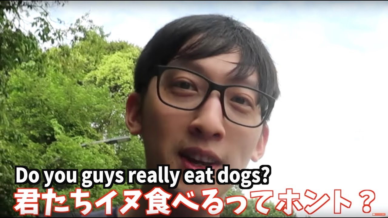 8 Hilarious Stereotypes Americans Have Against Asians Youtube