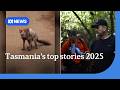 The headline-making stories in Tasmania in 2025 | ABC NEWS