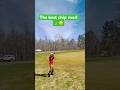 Best chip ever ⛳️☺️😂 #golfing #golflife #shortsviral