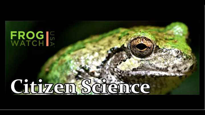 FrogWatch USA || My Citizen Science Experience