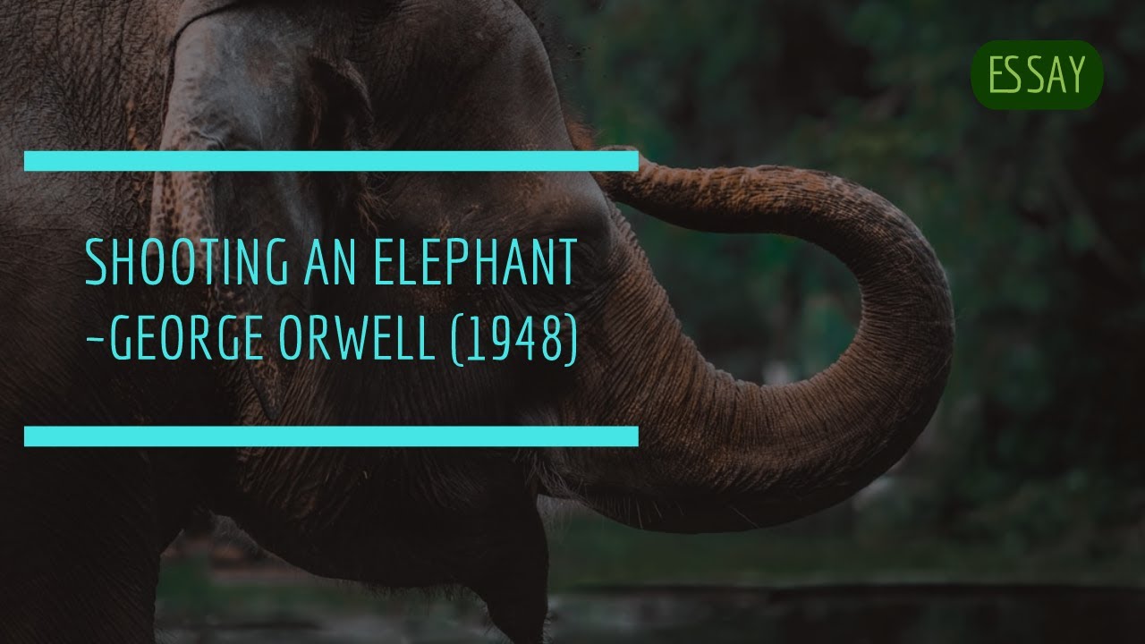 george orwell essays elephant