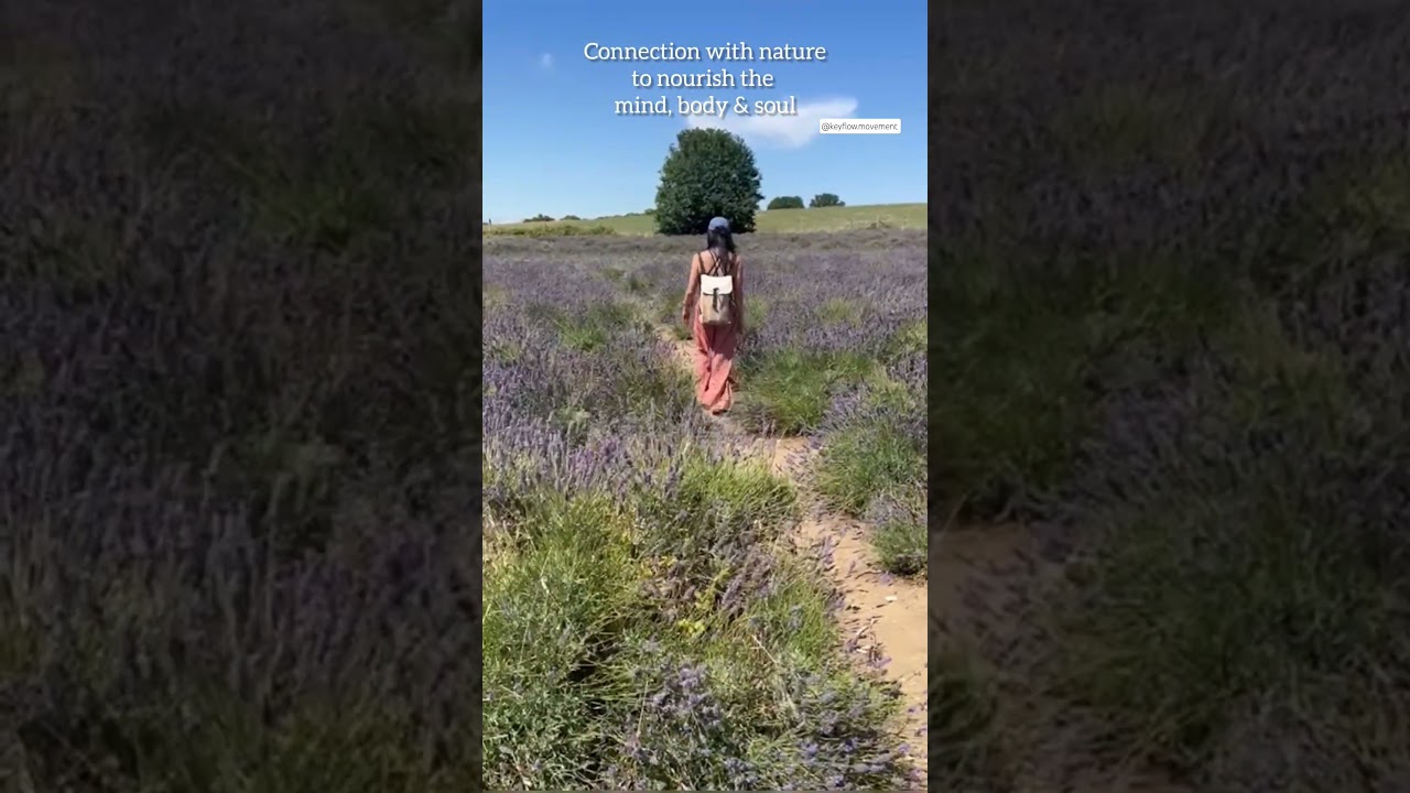 Lavender Fields: Connect with nature in your holistic practice 🌿 