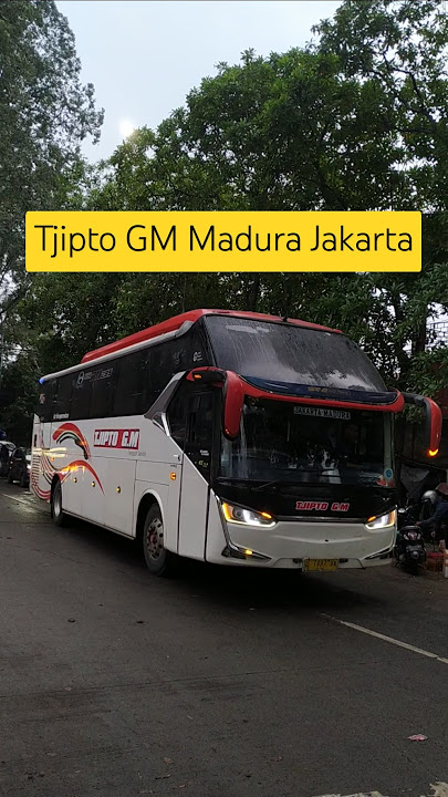 Bus Tjipto GM Liverinya Mirip Bus Pesona #shorts #tjiptogm #pesona #busmania #omnibus