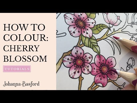colouring-tutorial-:-how-to-colour-cherry-blossoms