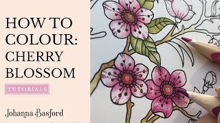 Colouring Tutorial : How to Colour Cherry Blossoms