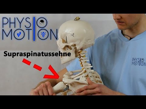 Verletzungen der Supraspinatussehne [Physio&Motion] #2