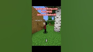 Helping a noob on my Minecraft server #shorts