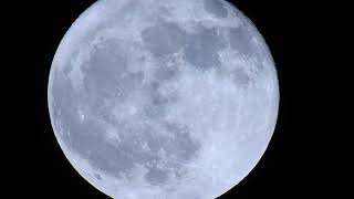 Nikon p900  The Moon Zoom