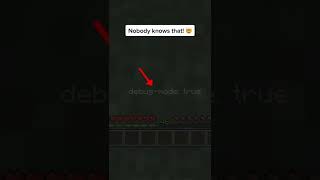 Minecraft: debug mode #shorts