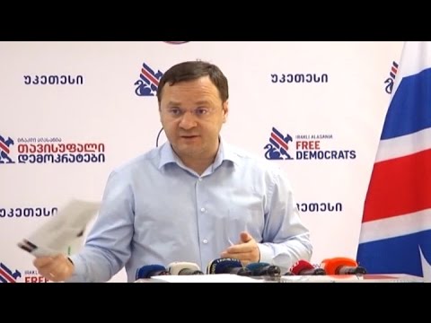 \"ირაკლი ალასანია - თავისუფალი დემოკრატების\" წევრების ბრიფინგი