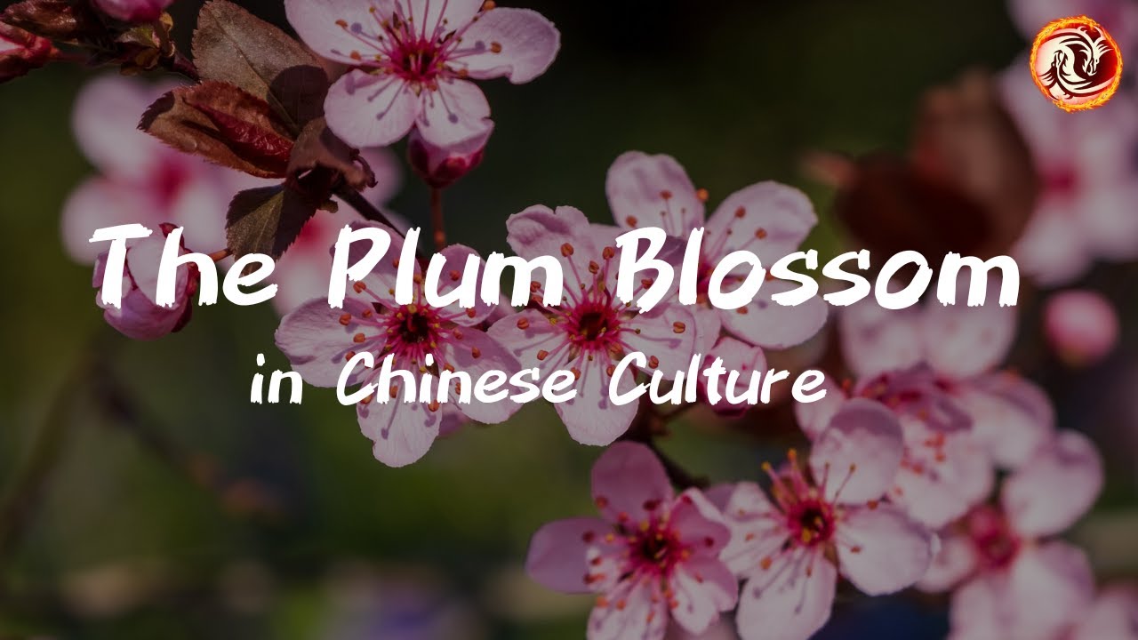 The Plum Blossom (梅花) A Symbol of Resilience and Beauty