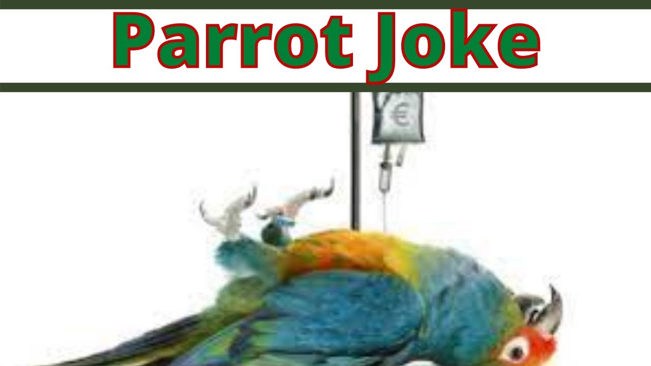Parrot Joke YouTube