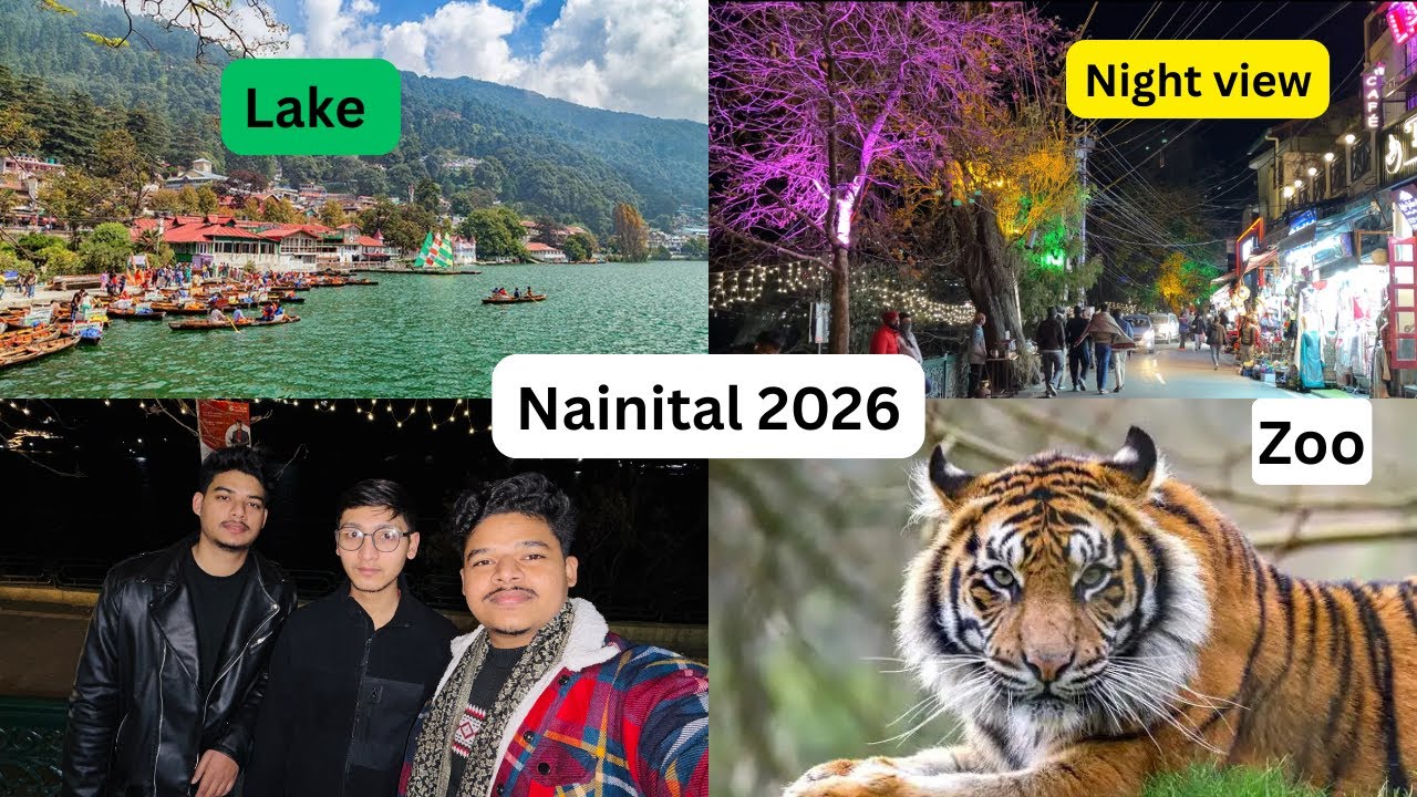 How Nainital looks in new year ⛰️| Nainital Zoo | Lake and Night view