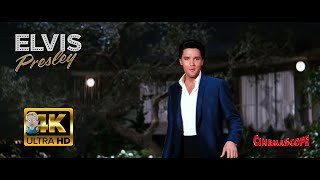 Elvis Presley - Spinout ⭐UHD⭐ (1966) AI 4K Enhanced