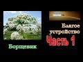 РГ  благое устройство  07 12 2018  часть 1  БОРЩЕВИК   38 мин