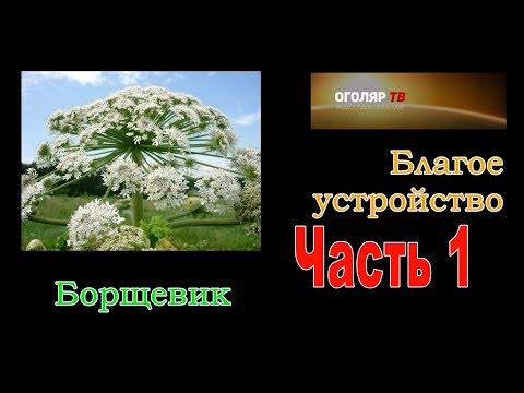РГ благое устройство 07 12 2018 часть 1 БОРЩЕВИК 38 мин