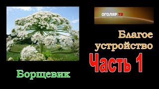 РГ  благое устройство  07 12 2018  часть 1  БОРЩЕВИК   38 мин