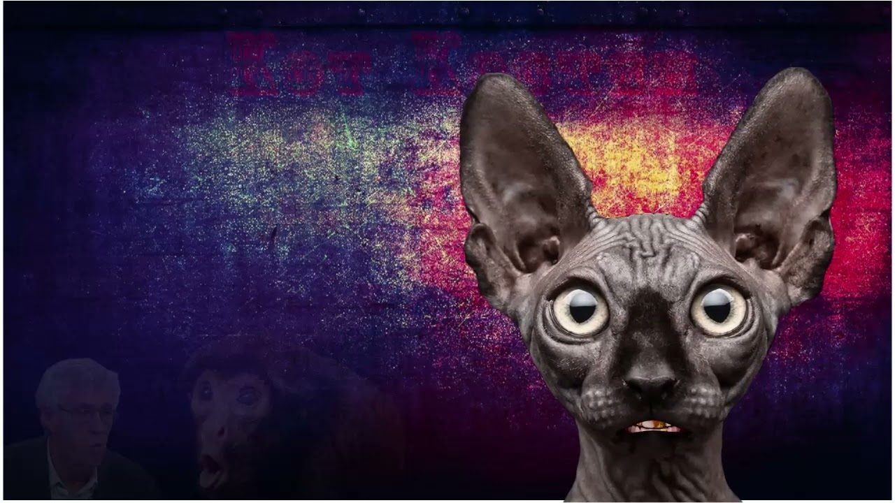 Грубник на выход ! Вы обосравшись !!!👍😂🤣😅