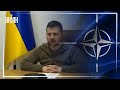 Владимир Зеленский обратился к европейцам на саммите НАТО