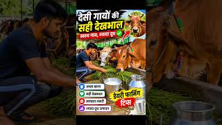 गायों की सही देखभाल | Dairy Farming Tips | Cow Daily Routine #DairyFarming  #DesiCow #MilkProduction