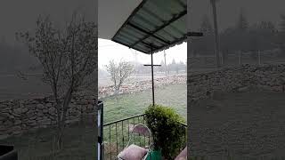 11 Nisan 2025 Bahar Karı