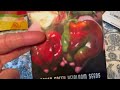 Final Variety Video for the Tomatoes and Peppers. #3.  The Sweetest of the Peppers.