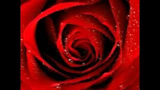 BANDA TORPEDO - SORTE É TER VOCÊ