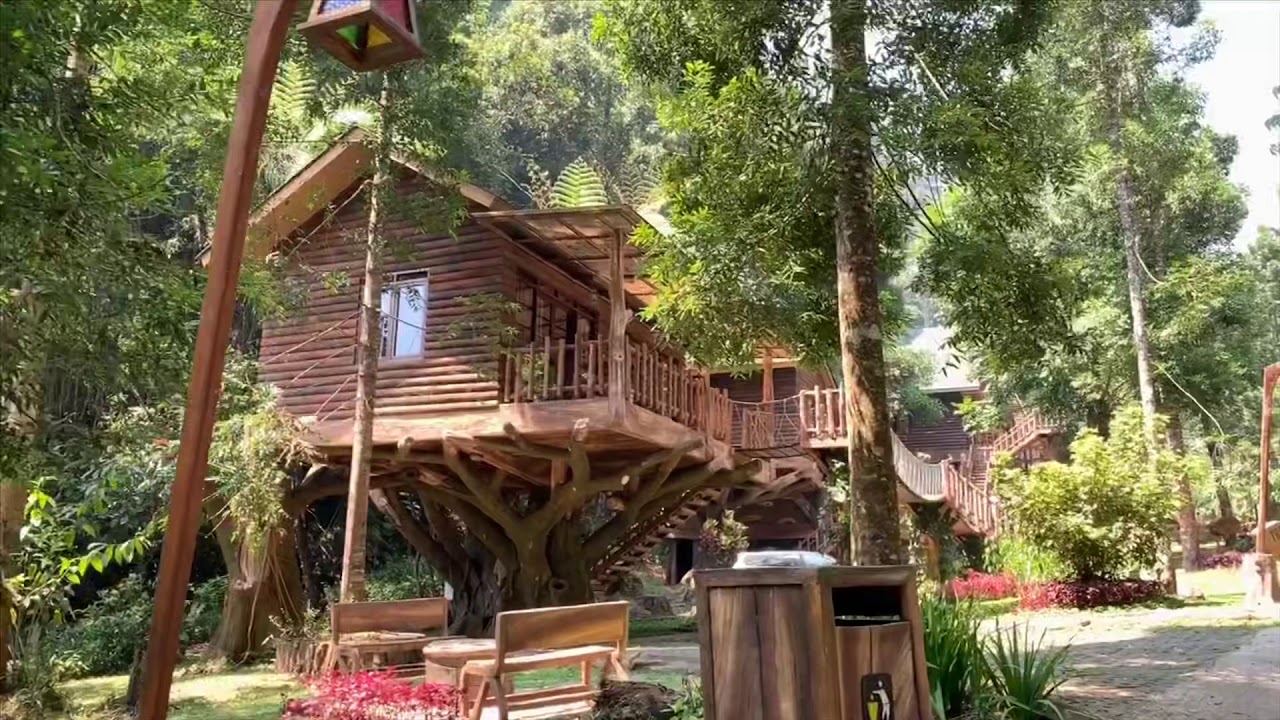 Taman Safari Lodge Tree House - YouTube