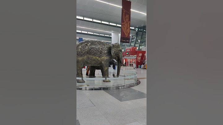 புதுடில்லி விமான நிலையத்தில் யானை? #newdelhi #igiairport   #t3 terminal: ஒரு சிறு சுற்று: #newdelhi