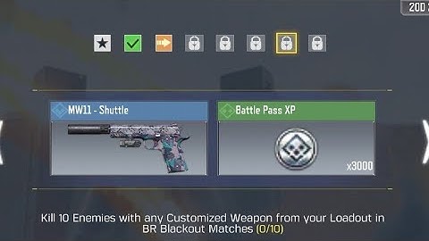 Kill 10 enemies with any customized weapon from your loadout in br Blackout matches