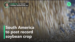Celebrity South America harvests bumper soybean crop Wealth